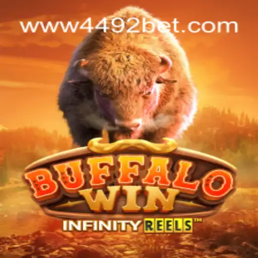 Explore the Thrills of BuffaloWin at 4492Bet.com: Brazil's #1 Online Cassino