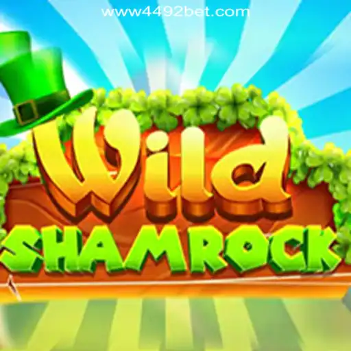Discover the Thrills of WildShamrock: 4492Bet.com Online Cassino Brasil #1